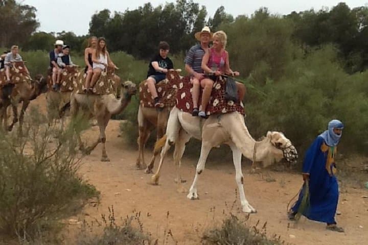 Camel Riding in Agadir