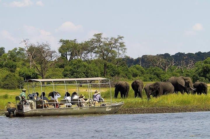 Chobe Full Day Trip