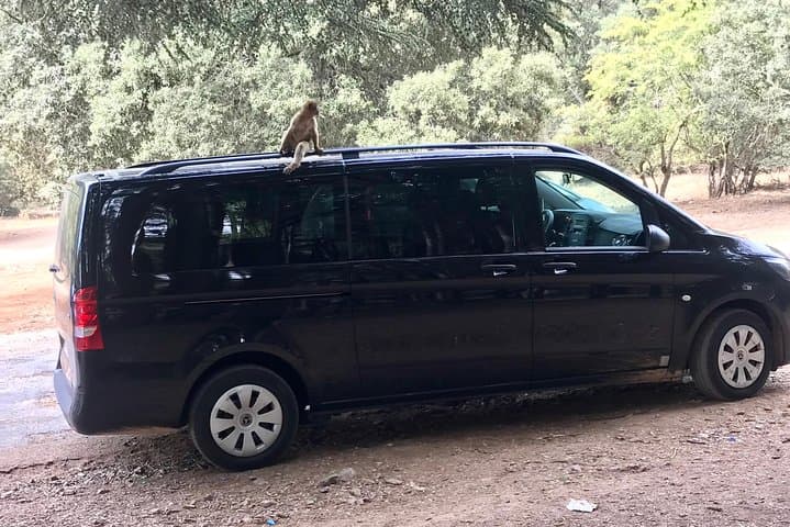 Marrakech Private Transfers
