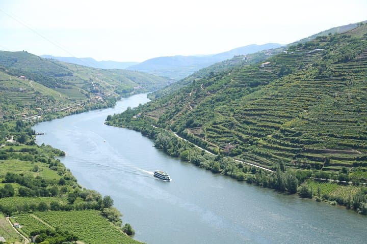 Douro Experience