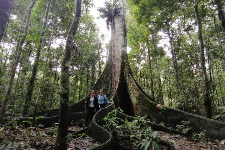 Amazing Jungle 3Days 2Nights - Amazon Wonder Expeditions