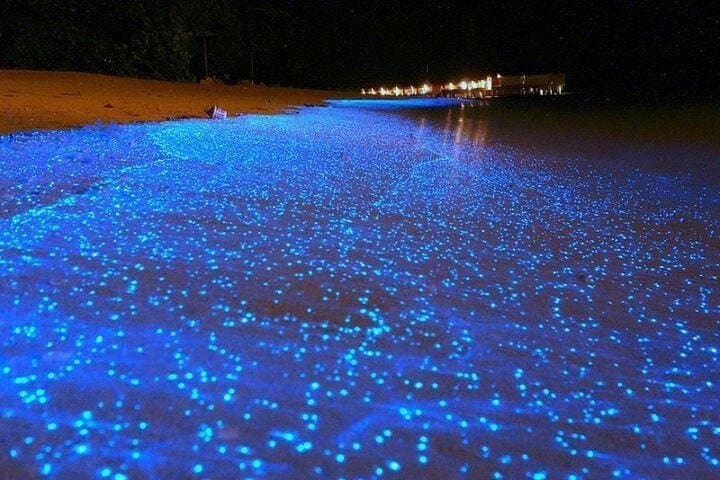 Luminous Lagoon Tour from Grand Palladium