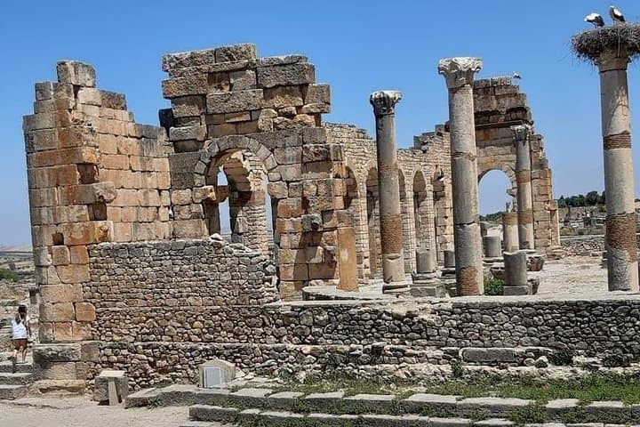 Road Trip to The Roman ruins and Meknes