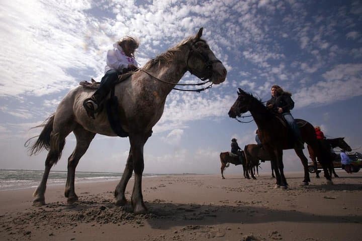 Horse Riding Agadir