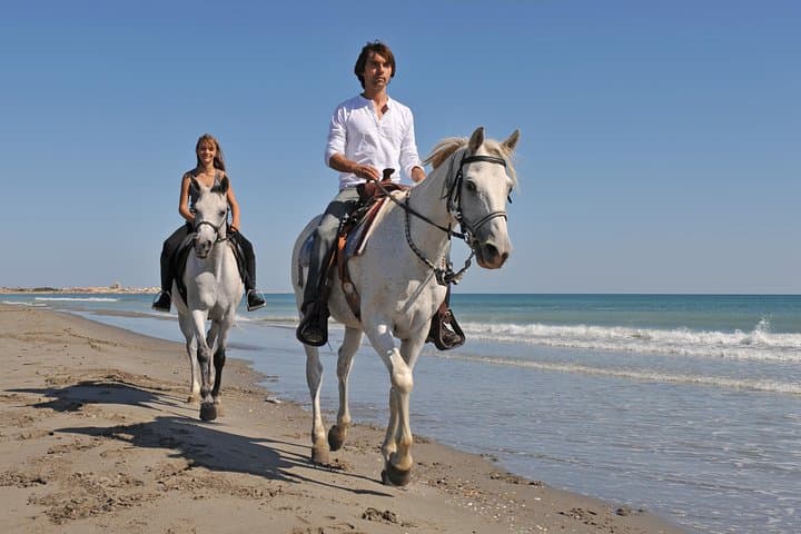 Bodrum Horseback Riding Experience with Hotel Transfer