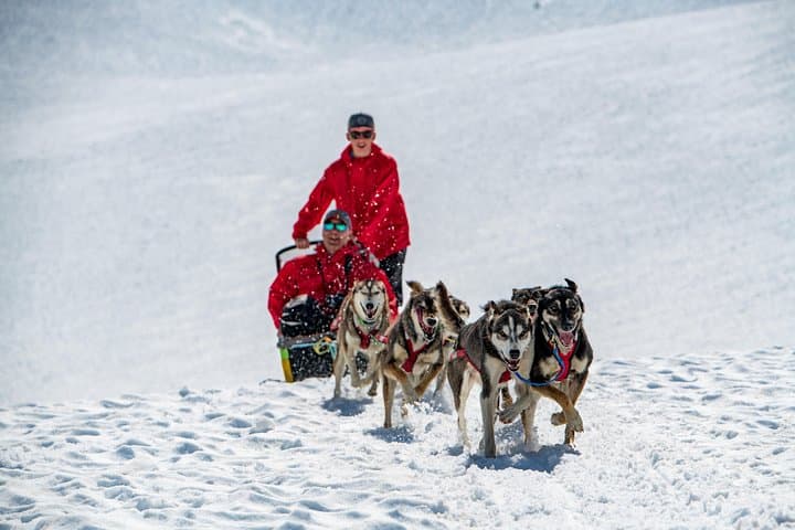 Anchorage Helicopter Glacier Dogsledding Tour