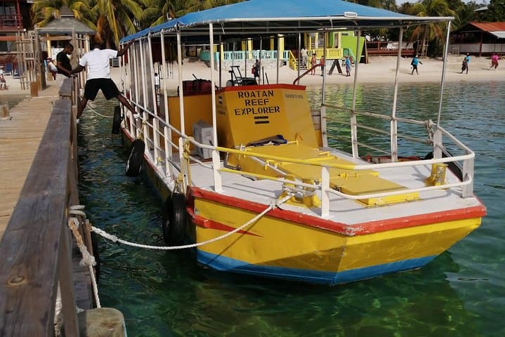 All inclusive Glass Bottom boat Wild life encounter and Beach