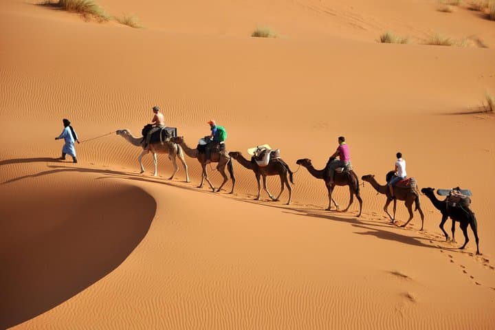 7 Night Sahara Caravan Road