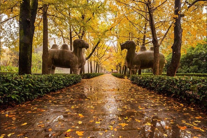 Private Nanjing Day Tour from Shanghai by Bullet Train