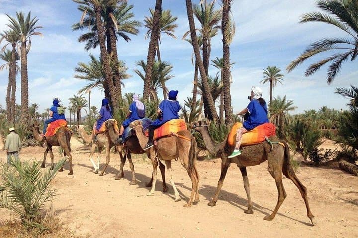 Marrakech Camel Ride at the Palm Groves