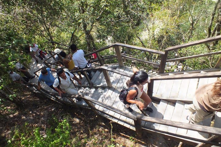 Tikal Ruins Day Tour from Flores