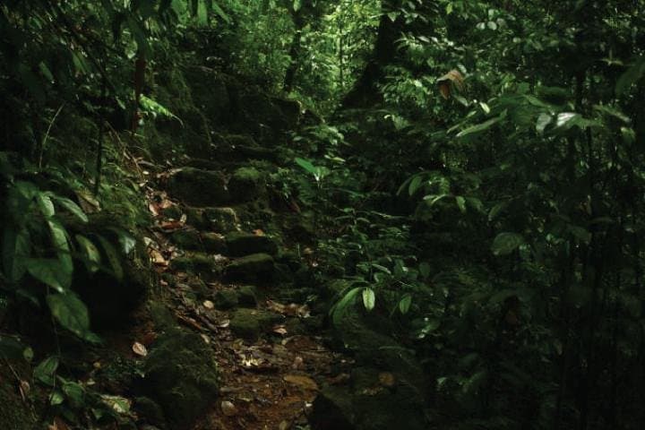 The village crossing and forest hike to old waterfalls – Makandawa Rainforest