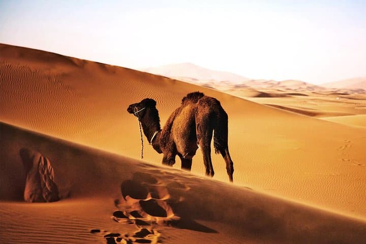 Best 6 days Cairo Luxor, Alexandria ,Egyptian Sahara