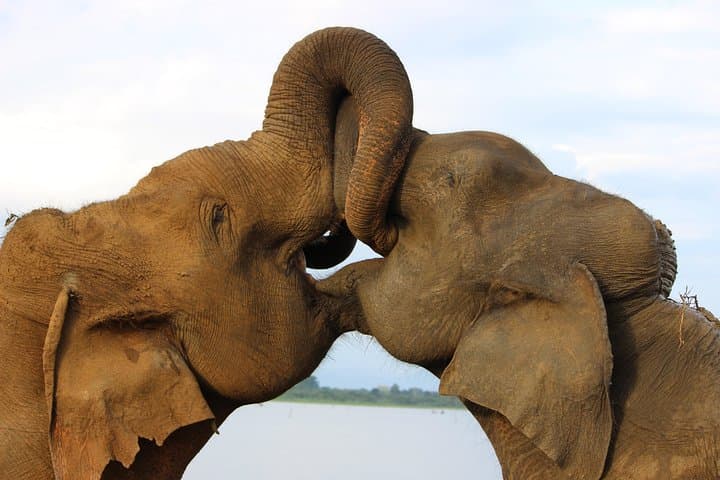 Amazing Sri Lanka (25 Days)
