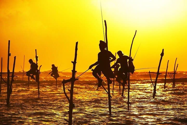 7 Night in Sri Lanka Heritage Private Tour