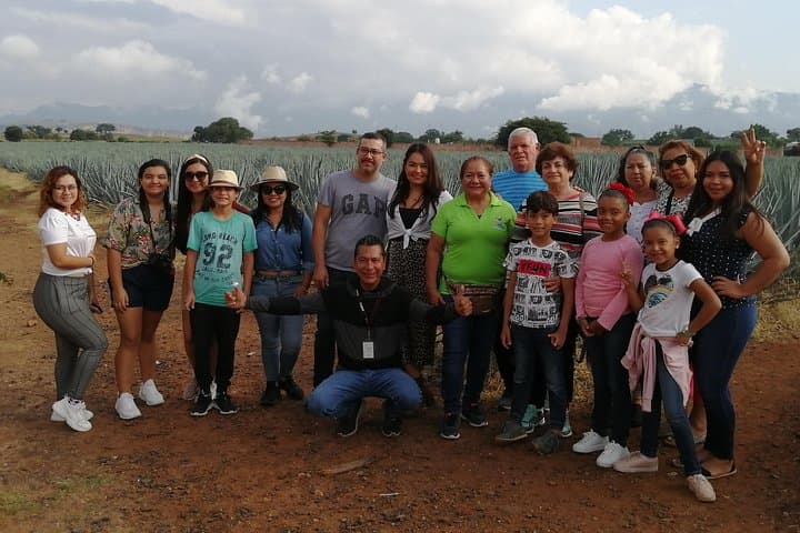 Great Experience With A Tour Guide With Spark