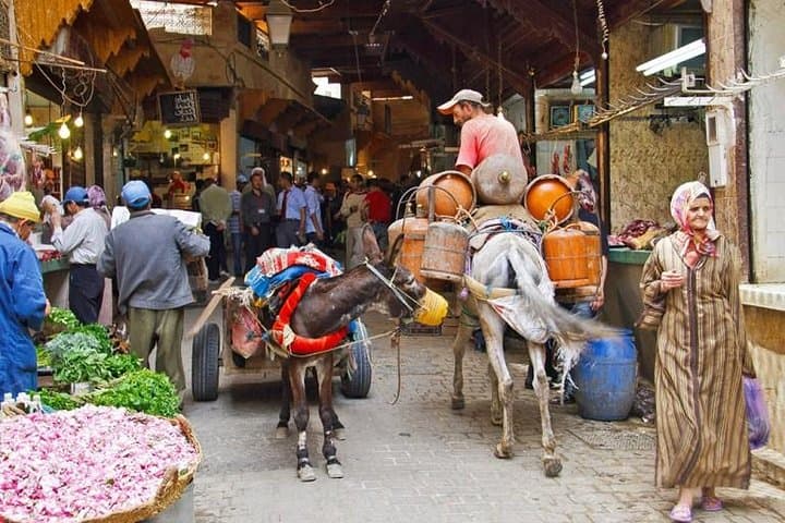 Expert guide (Fez' Highlights & Hidden Gems: Mosque , Souks & City Views)