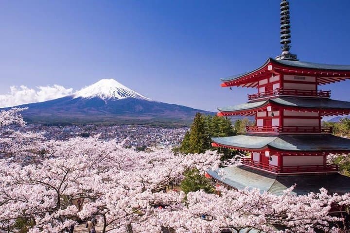 Enjoy Mt. Fuji View and free time shopping at Gotemba Outlets!
