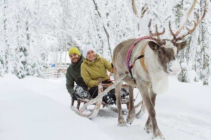 Levi Reindeer Safari - Long or Quick - with Sledge Ride