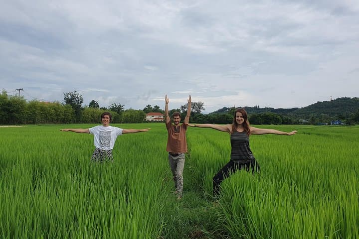 Full Day Yoga, Meditation, and Thai Cultural Immersion in Chiang Mai