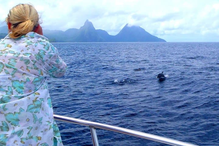 Whale Watching and Dolphin Spotting Cruise