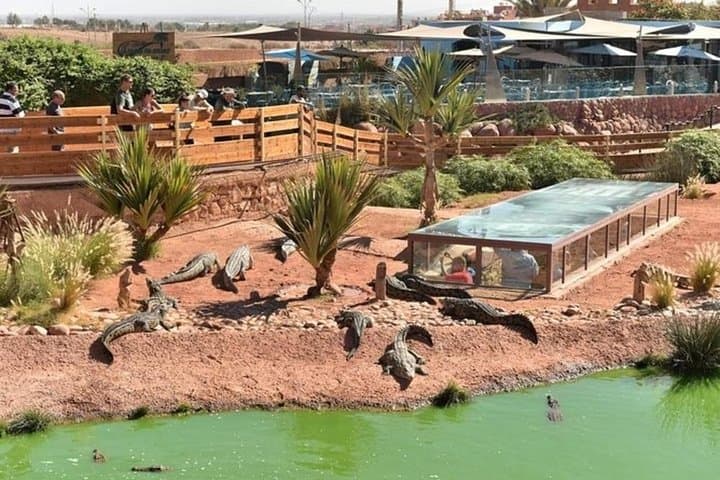Crocopark Agadir: A Unique Wildlife Experience