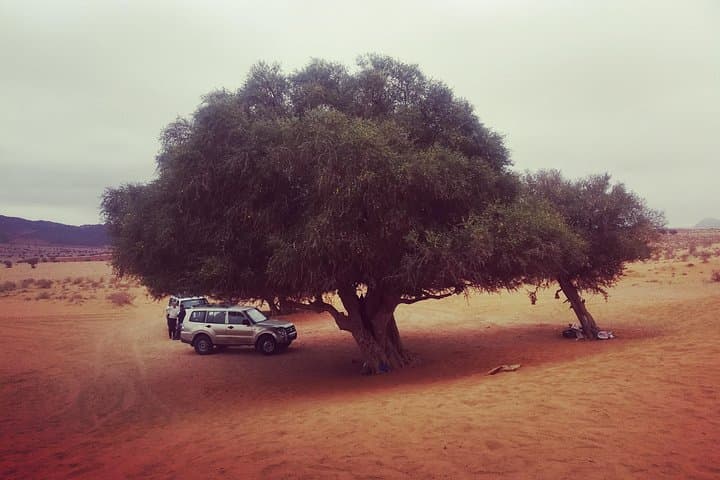 Agadir Trip To Mini Desert / Safari Tour