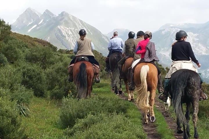 Horse Riding Madrid Natural Park (long Trip)