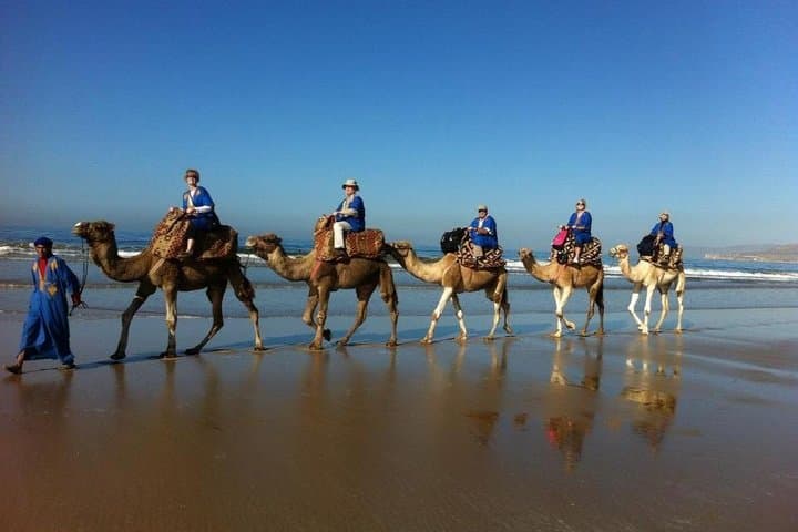 Camel Riding In Agadir
