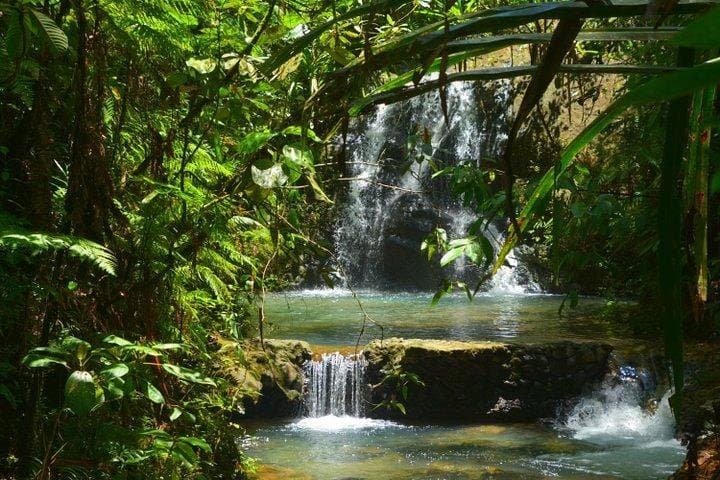 Port of Suva - Private Tour