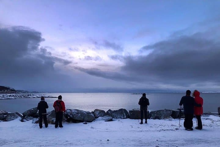 Arctic Coastal Walk