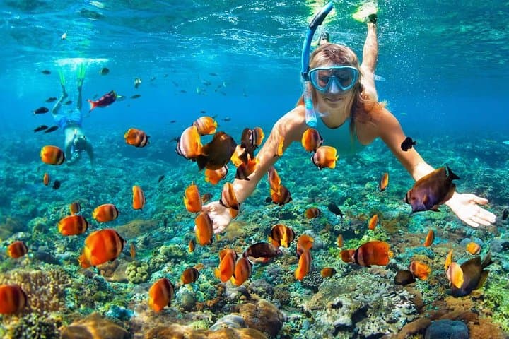 Phi Phi Half Day Tour Speed Boat Tour