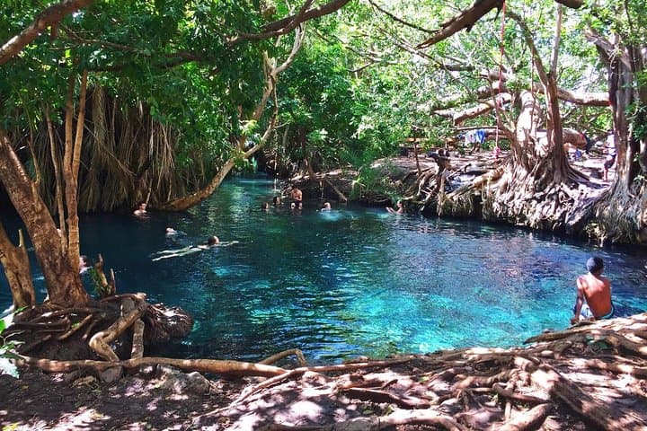 Kikuletwa Hotspring Day Trip