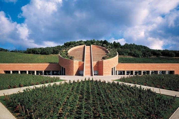 Suvereto Wine Experience PRIVATE TOUR from SIENA