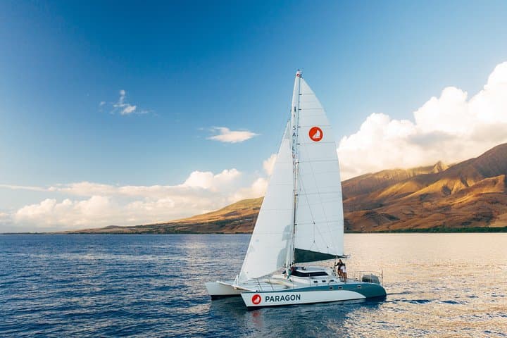 Morning Whale Watch: Lahaina Harbor