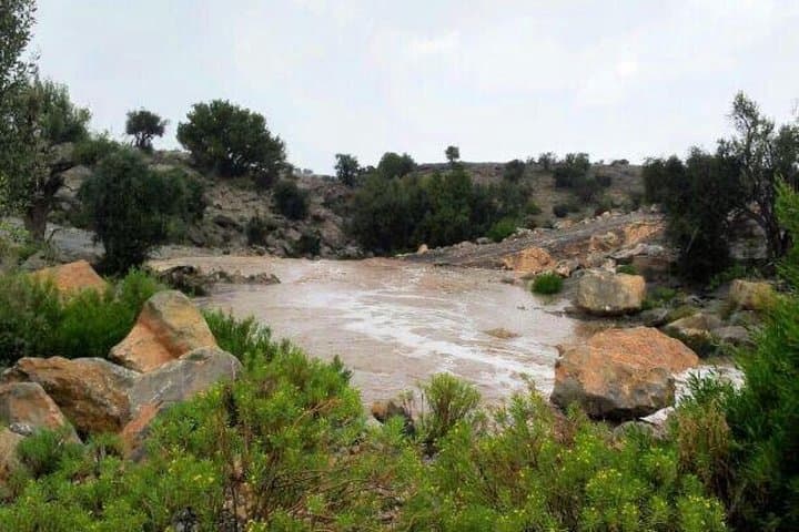 Jebel Akhdar Tour ( per vehicle)