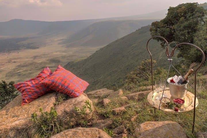 7 Days Luxury Tanzania Wildlife Safari