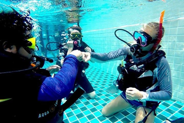 PADI Dive Divemaster