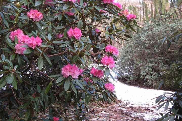 Skip-the-Line: Botanic Garden Entry Ticket