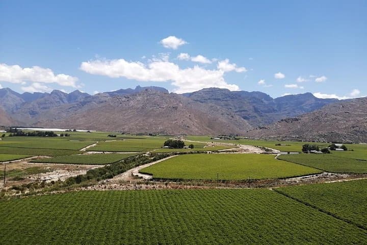 Winelands Tour
