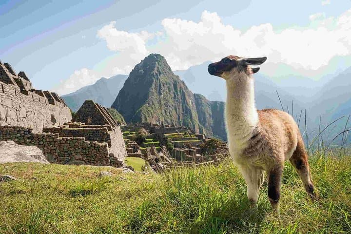 4-Day Excursion to MachuPicchu & Rainbow Mountain & City tour || All Included ||
