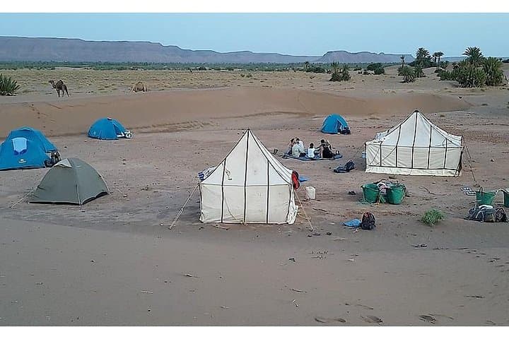 The secret of the camel trekking desert
