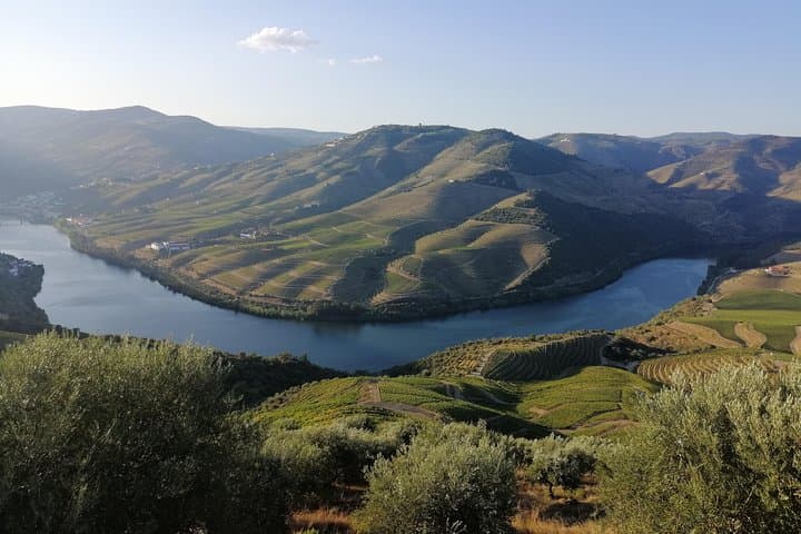 Private Hiking Through Douro Valley Wine Region Half Day Tour