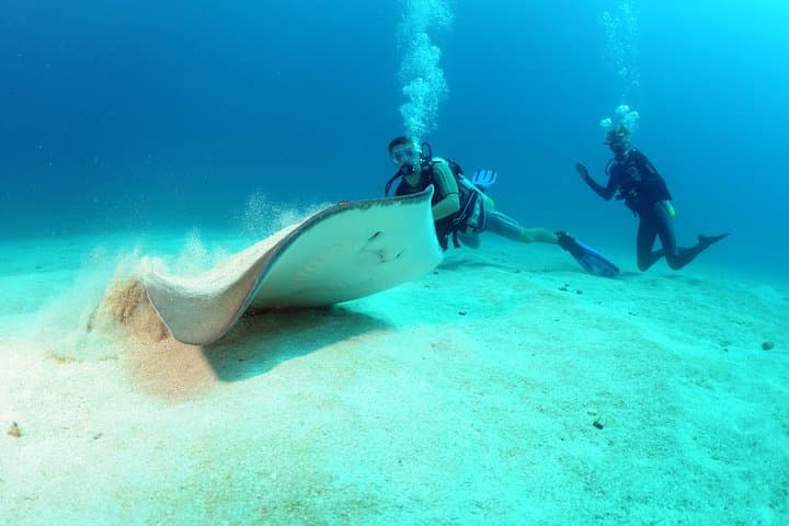 St Maarten Scuba Diving for Certified Divers