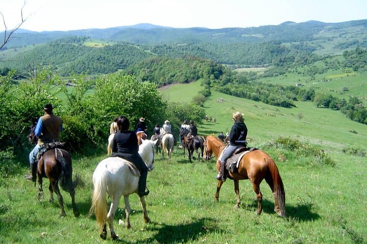 Horseback riding excursion