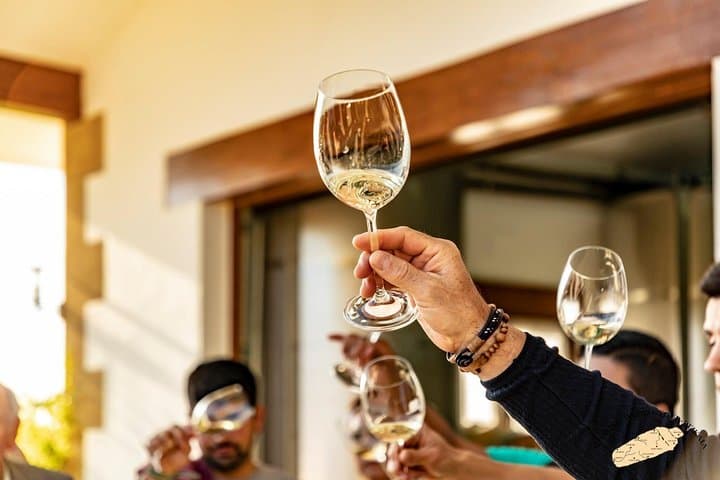 Txakoli wine tour from Bilbao