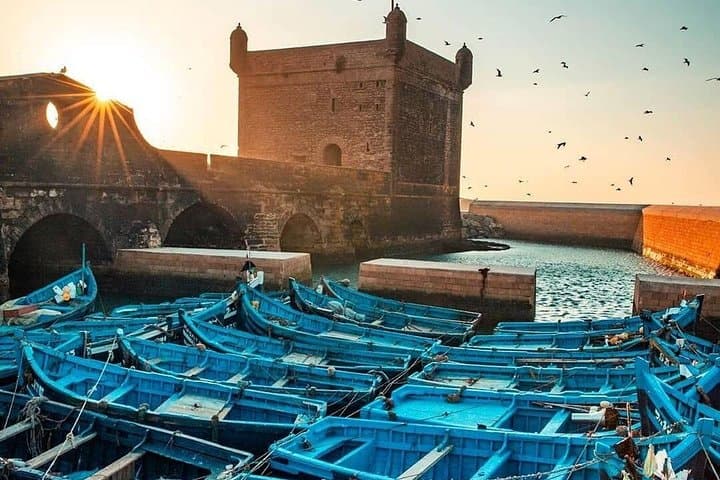From Marrakech To Essaouira Mogador Full Day Trip | Small-group