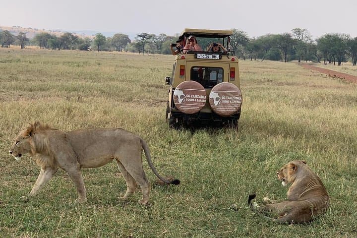 3 Days Tanzania Safari