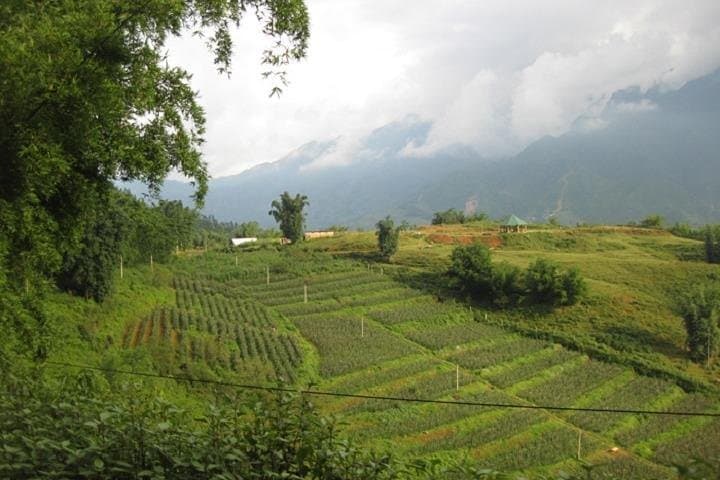 Private Sapa Off The Beaten Path trekking full day tour start from Sapa