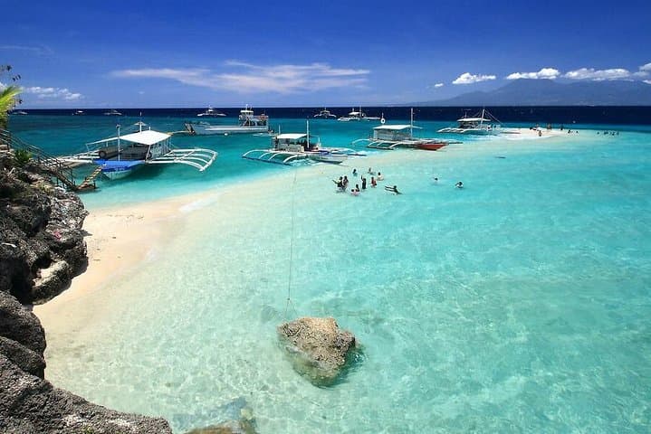 Whale Shark Watching with Canyoneering & Kawasan Falls + Sumilon Sandbar